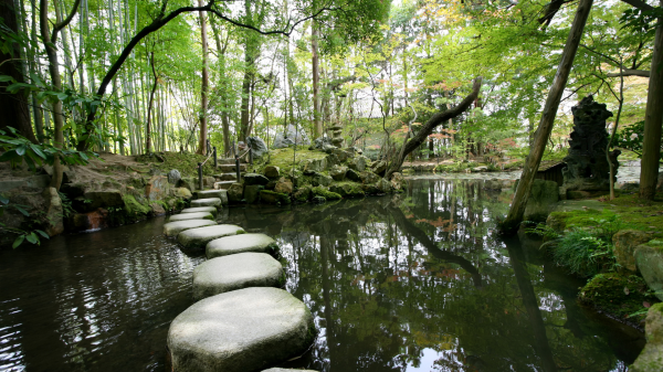 Stepping stones 1