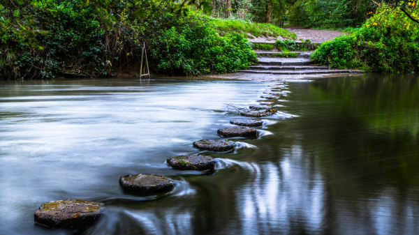 Stepping stones 3